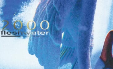 Fleshwater - 2000: In Search Of The Endless Sky - Album Artwork