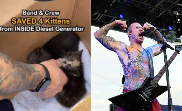Trivium and Bullet For My Valentine Wrap Up Tour, Save Kittens Instead