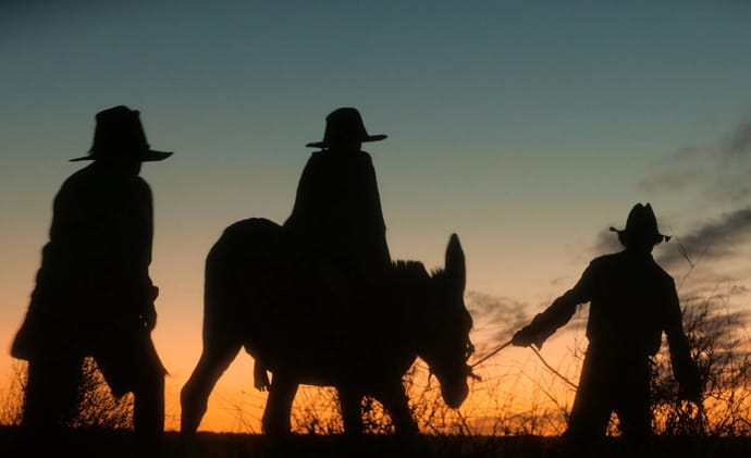 Wolfram IMAGE: Bunya Productions