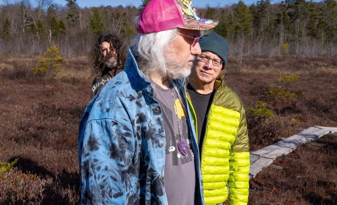 Dinosaur Jr There Near