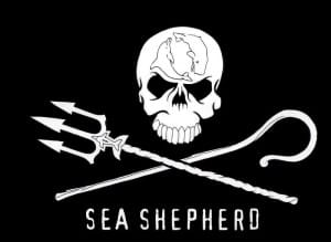 SeaShepherd1-300×219