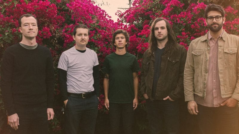 toucheamore_christiancordon_bougainvillea_2_color_wide-f9e8dea6aff195e99254e0450a8edc79469c7f9a-s900-c85-e1475234114658