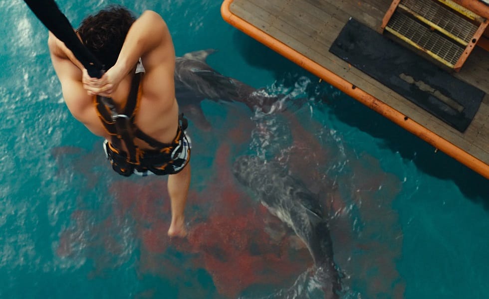 Dangerous Animals IMAGE: Kismet