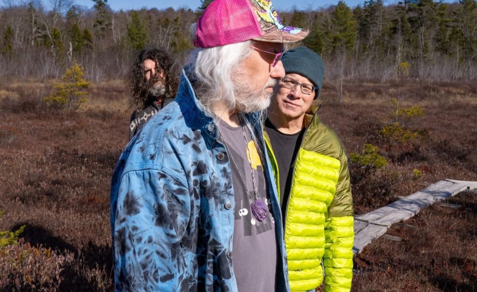 Dinosaur Jr There Near