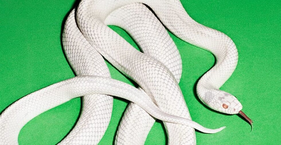 Deftones - My Mind Is a Mountain