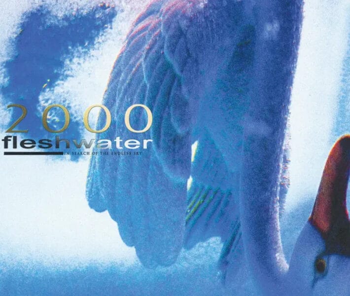 Fleshwater - 2000: In Search Of The Endless Sky - Album Artwork