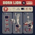 Born Lion – Final Words