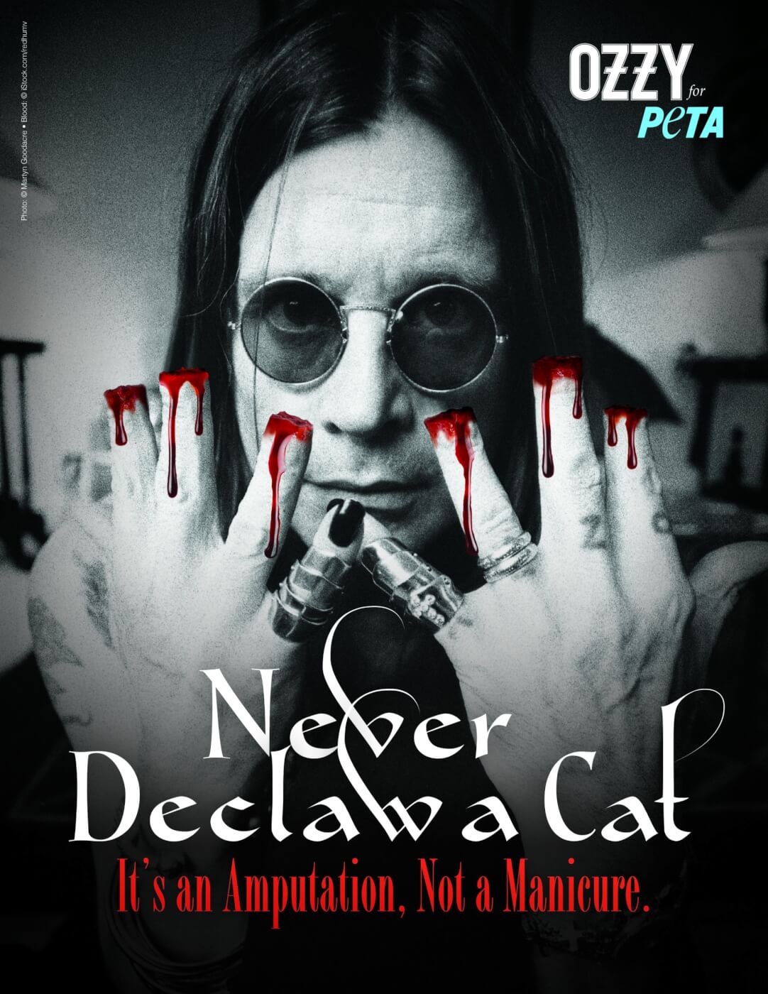 ozzy osbourne bat peta