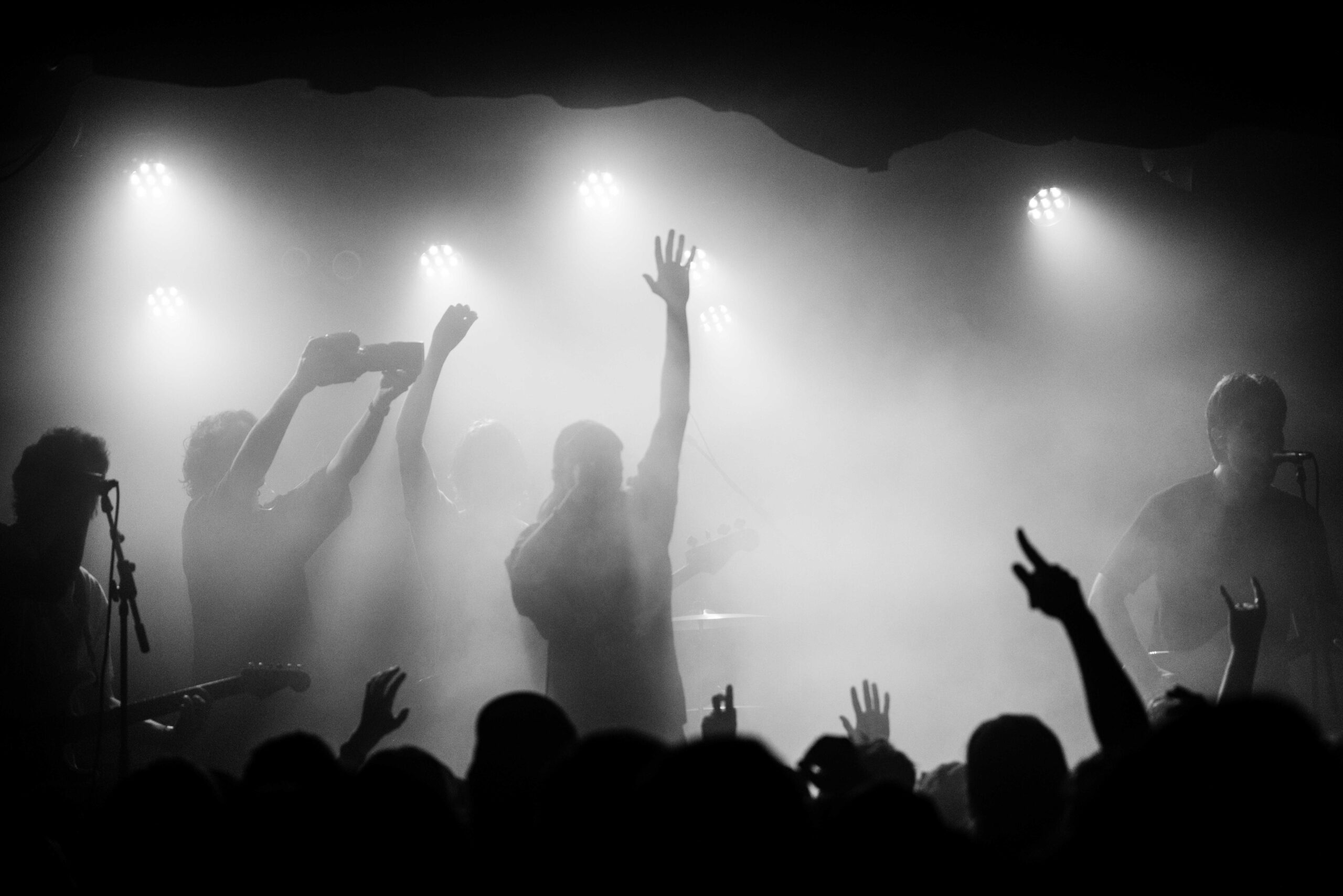 Bloom @ OAF, Sydney