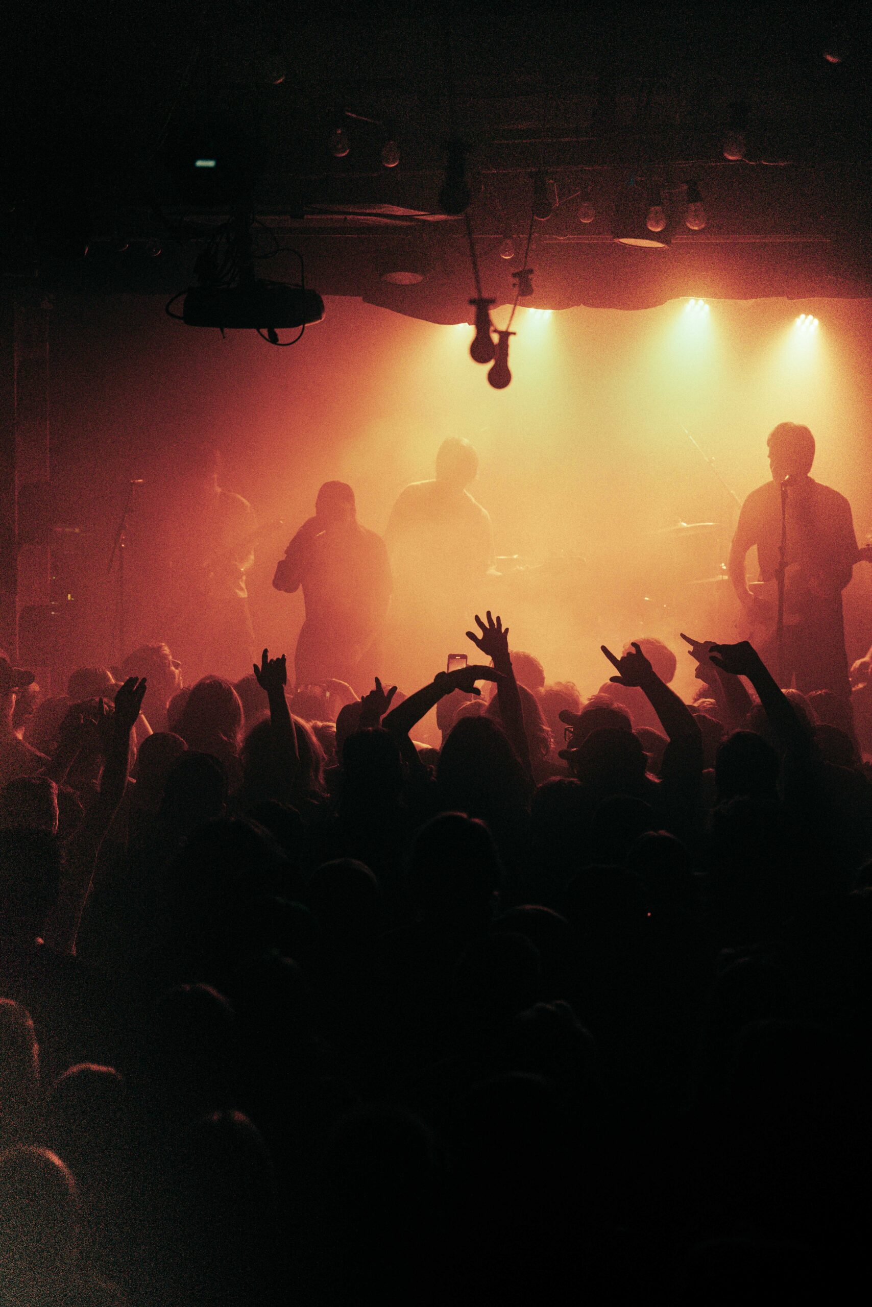 Bloom @ OAF, Sydney