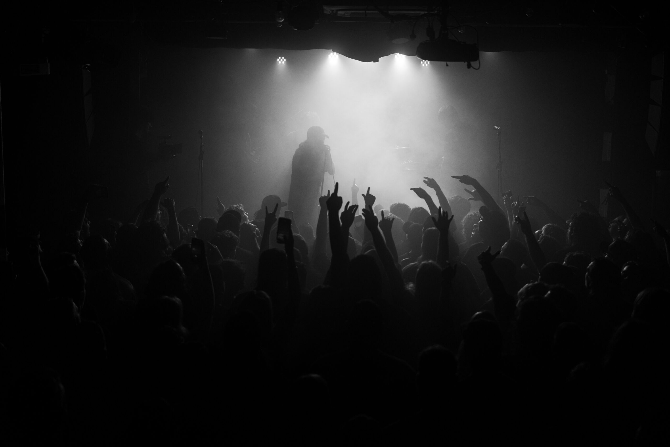 Bloom @ OAF, Sydney