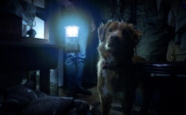 Good Boy IMAGE: Shudder